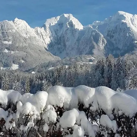 Apartment With Balcony In Schoenau Am Koenigssee Schönau am Königssee