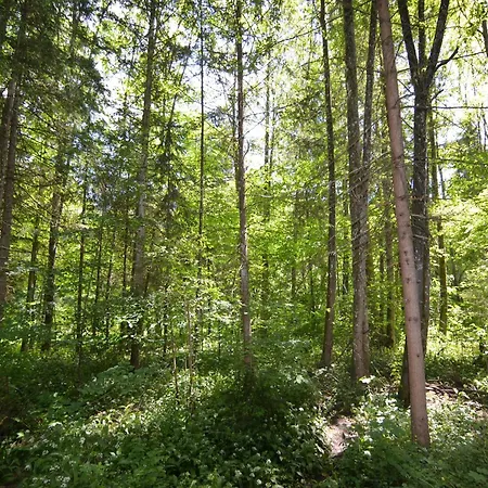 With Balcony In Διαμέρισμα Schönau am Königssee